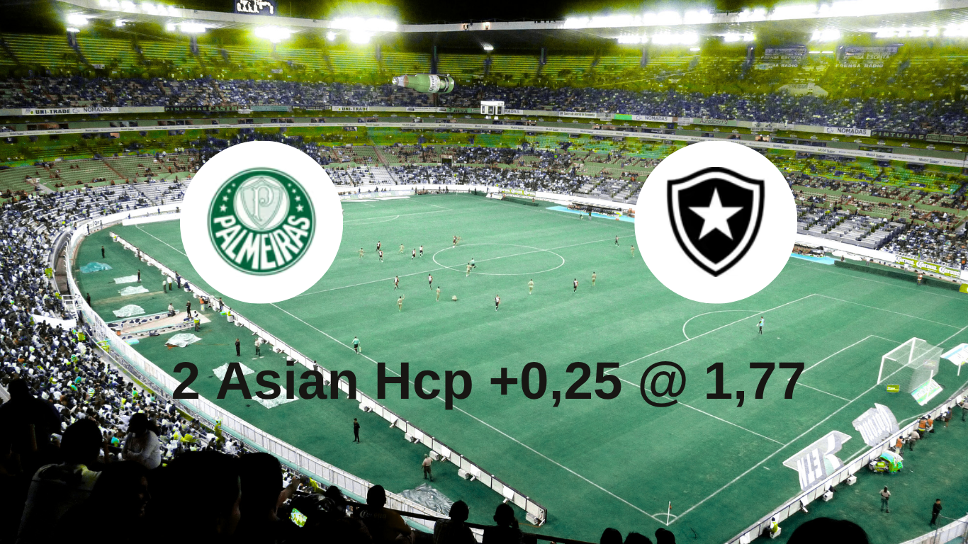 Plakat meczu Palmeiras vs Botafogo z typem bukmacherskim Asian Handicap +0,25